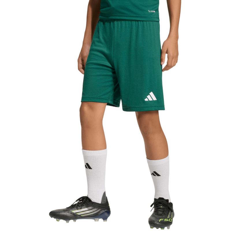 adidas Entrada 26 Kids' Shorts Green KE9831