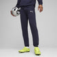 Puma Team Goal Casuals M 658598 06 pants Clothing/Lifestyle/Trousers, shorts Puma