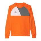 Adidas Assita 17 Jr AZ5402 sweatshirt Clothing/Football Adidas