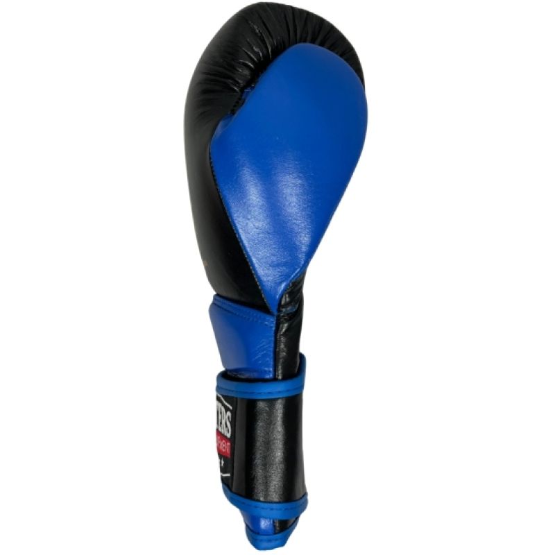 RBT-PRO-TRAIN Boxing Gloves 12 oz MASTERS FIGHT EQUIPMENT