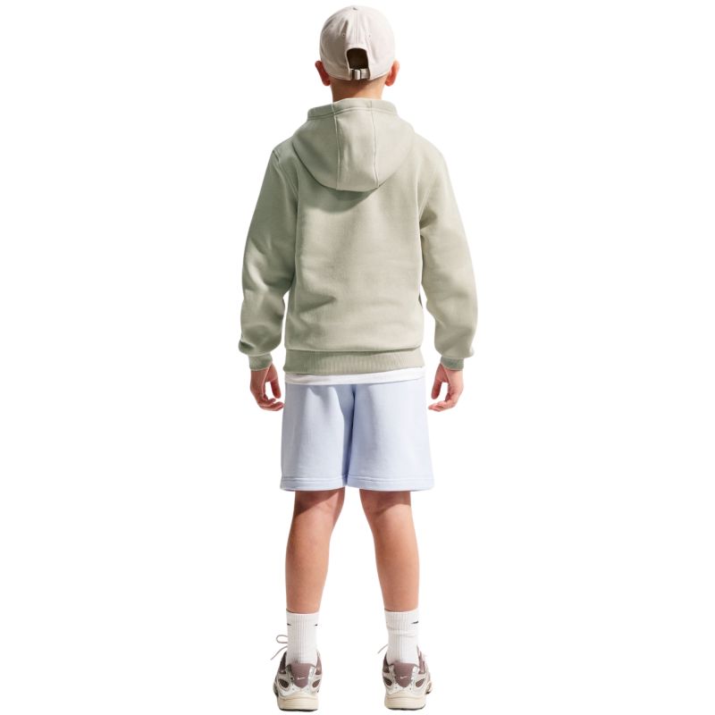 Nike Sportswear Club Fleece Kids' Sweatshirt Light Green FD3000 304