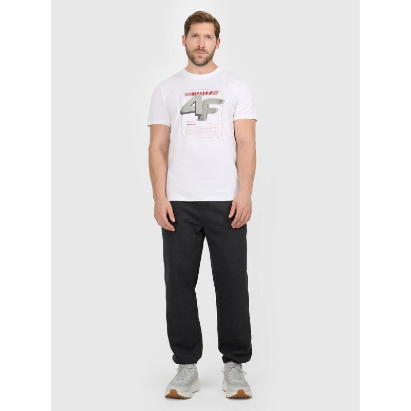 Men's regular printed T-shirt 4F 4FRAW25TTSHM3612-10S