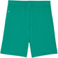 Puma Team Goal men's shorts green 705752 05 In preparation Your Sports Performance
