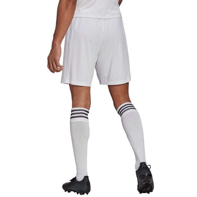 Adidas Squadra 21 Short M GN5774 Clothing/Football Adidas