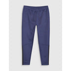 Men's quick-drying training pants 4F 4FWSS25TFTRM0836-30S *Kategoria tymczasowa Your Sports Performance