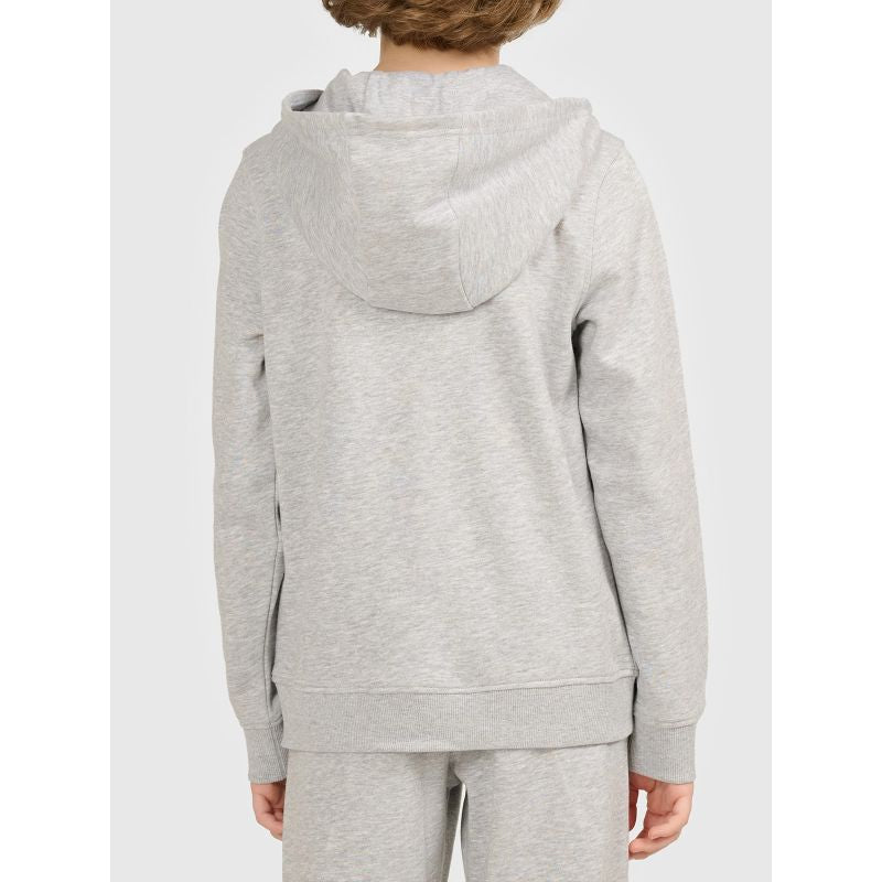Boy's zip-up hoodie 4F 4FJWMM00TSWSM2754-27M