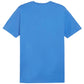 Puma Team Goal Casuals Tee M 658615 02 Clothing/Lifestyle/T-shirts Puma