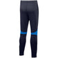 Nike Academy Pro Pant Youth Jr DH9325 451 Clothing/Training Nike