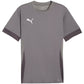Puma teamGoal Matchday Jersey M 705747 13 Clothing/Football Your Sports Performance