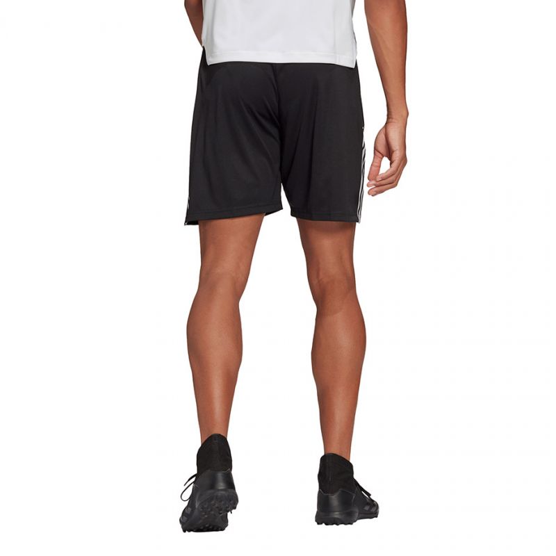Adidas Tiro 21 Training M GN2157 shorts Clothing/Training Adidas
