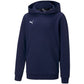 Puma teamGOAL 23 Casuals Hoody Jr 656711 06 Clothing/Running Puma