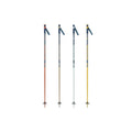 ROSSIGNOL STOVE BOX 20 PAIRS multicolor ski poles Rossignol