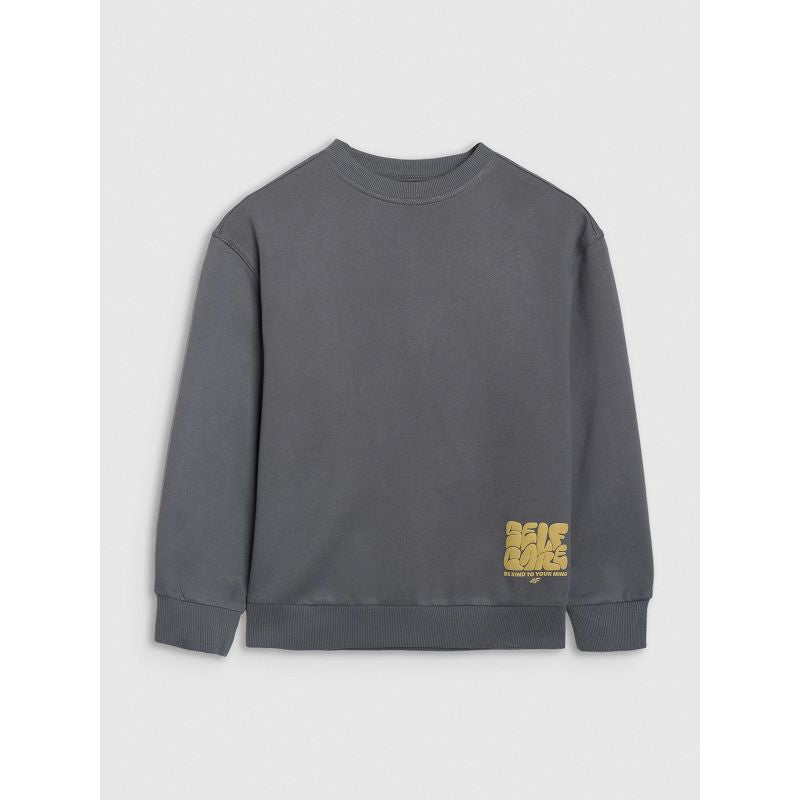 4F JUNIOR sweatshirt 4FJRAW25TSWSM2448-22S Clothing Your Sports Performance
