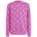 Sweatshirt adidas Bluv Swt Jr IC5573 Clothing/Lifestyle Adidas