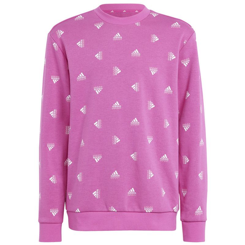 Sweatshirt adidas Bluv Swt Jr IC5573 Clothing/Lifestyle Adidas
