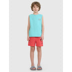 Boys' boardshorts 4F 4FJWSS25UBDSM117-63S 4f