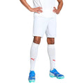 Puma Team Goal men's shorts white 705752 04 Puma