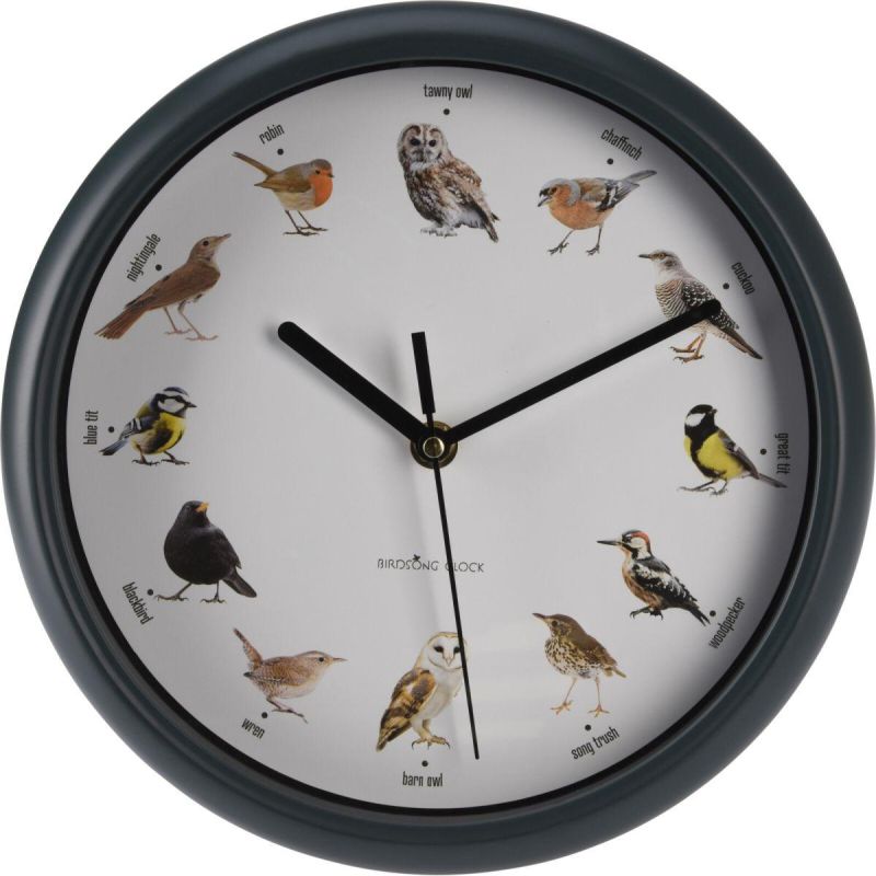 ORNITHOLOGIST WALL CLOCK 25CM Home and Garden/Equipment Your Sports Performance