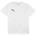 Puma teamRISE Matchday kids' t-shirt white 706284 04 Clothing Your Sports Performance