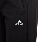 adidas Essentials Big Logo Track Suit Jr IJ6305 Clothing/Training Adidas
