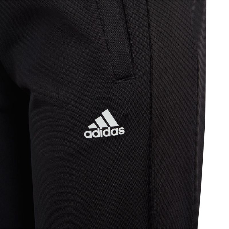 adidas Essentials Big Logo Track Suit Jr IJ6305 Clothing/Training Adidas