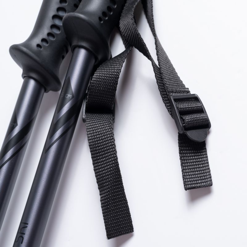 ALPINE SKI II poles In preparation Your Sports Performance