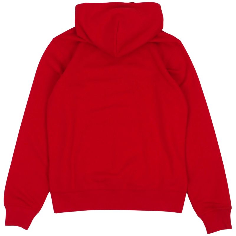 Champion Hooded M 220253 RS054 sweatshirt Clothing/Lifestyle/Champion Your Sports Performance