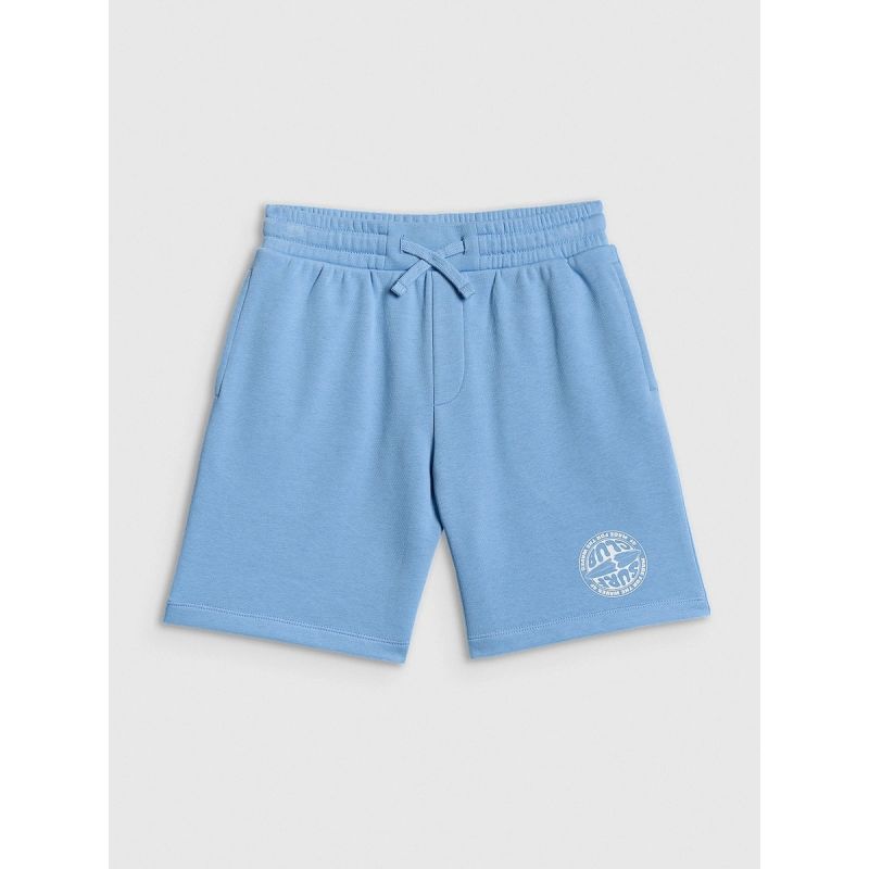 Boys' sweatpants 4F 4FJRSS26TSHOM0911-33S