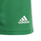 Adidas Squadra 21 Short Y Jr GN5762 Clothing/Football Adidas