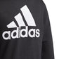Adidas Essentials Full-Zip Hoodie Jr GN4020 Clothing/Training Adidas