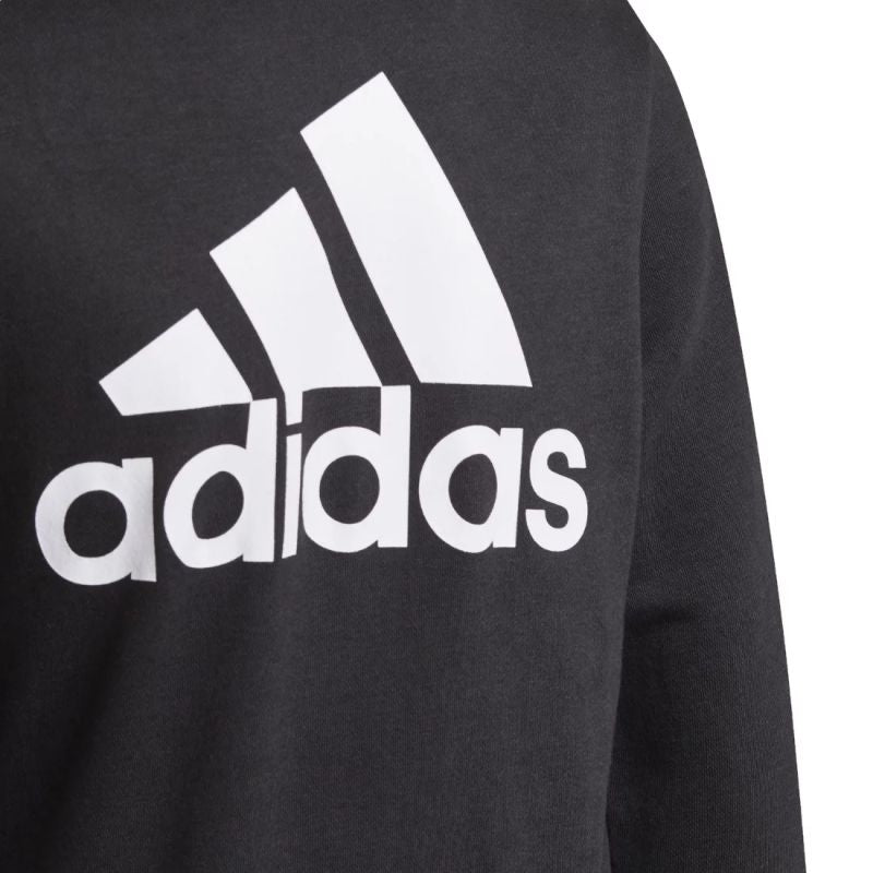 Adidas Essentials Full-Zip Hoodie Jr GN4020 Clothing/Training Adidas