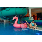 AquaWave Salava Swimsuit Wmns W 92800498804 Clothing/Swimming/Aquawave Your Sports Performance