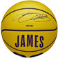 Wilson NBA Player Icon LeBron James Mini Ball Basketball WZ4027701XB Accessories/Balls/Basketball Your Sports Performance