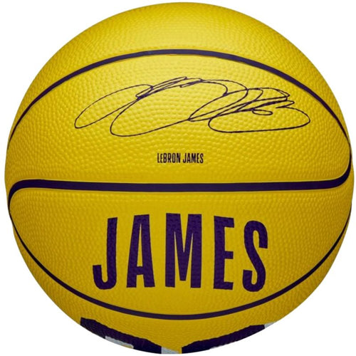 Wilson NBA Player Icon LeBron James Mini Ball Basketball WZ4027701XB Accessories/Balls/Basketball Your Sports Performance