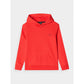 Boy's sweatshirt with hood, open, 4F Junior 4FJWMM00TSWSM1292-70S 4f