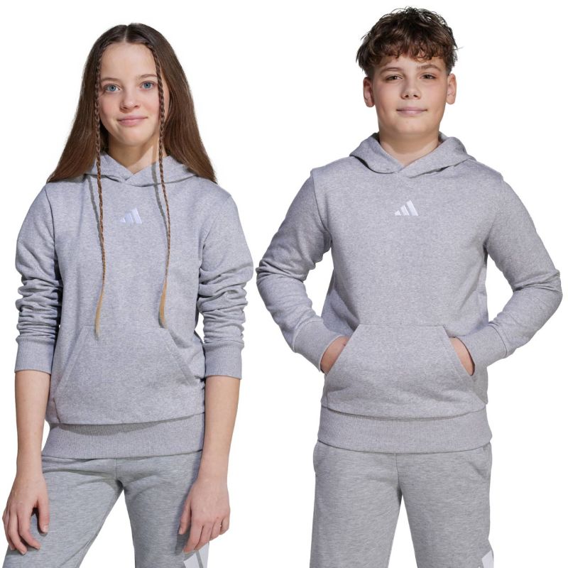 adidas Essentials Hoodie for kids gray JV9995 To be categorized Your Sports Performance