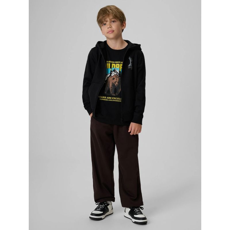 Boy's regular printed T-shirt 4F 4FJKAW26TTSHM4456-20S