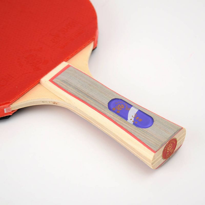 Giant Dragon 3★ N8031 Table Tennis Racket Accessories/Rackets and accessories Your Sports Performance