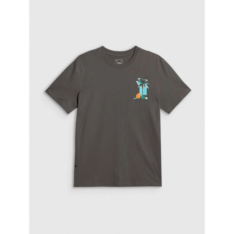 Men's regular printed T-shirt 4F 4FRSS26TTSHM4301-22S
