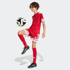 Shorts adidas Squadra 25 Jr JJ2416 Clothing/Football Adidas