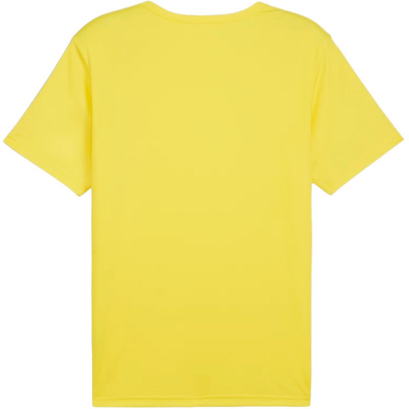 Puma teamRISE Matchday Jersey M 706132 07 Clothing/Football Puma