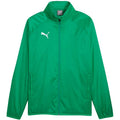 Puma Team Goal All Weather Men's Jacket Green 659038 05 Puma