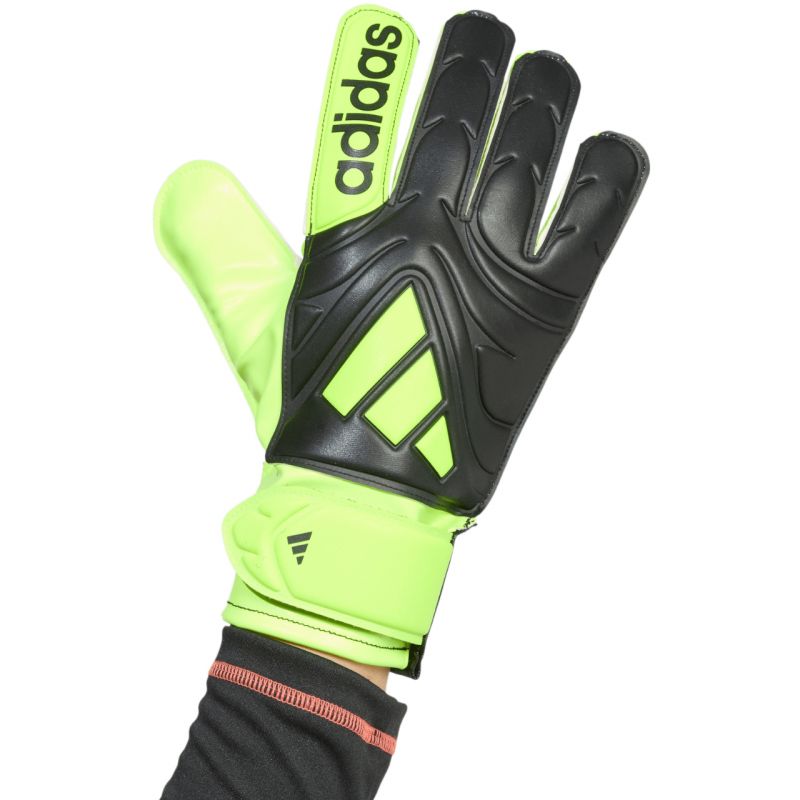 adidas Copa Club JN5340 Goalkeeper Gloves Accessories/Gloves Adidas