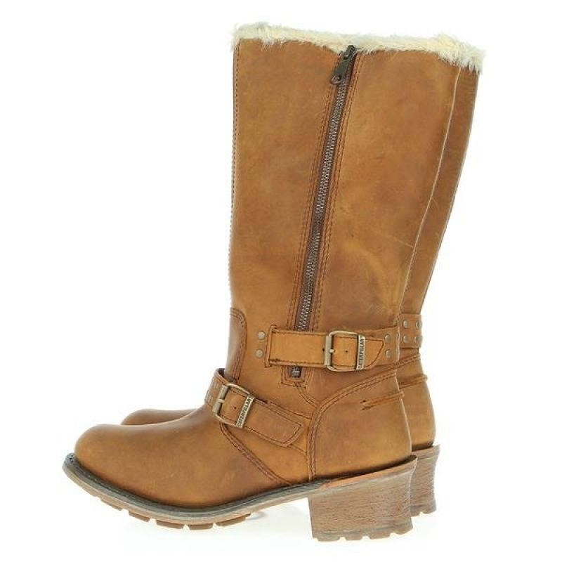 Caterpillar Florencia P307109 Winter Boots In preparation Your Sports Performance