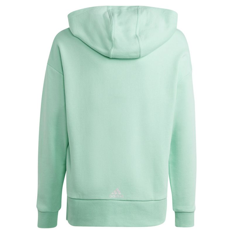Adidas D Hoody Jr HR5825 sweatshirt Clothing/Lifestyle Adidas