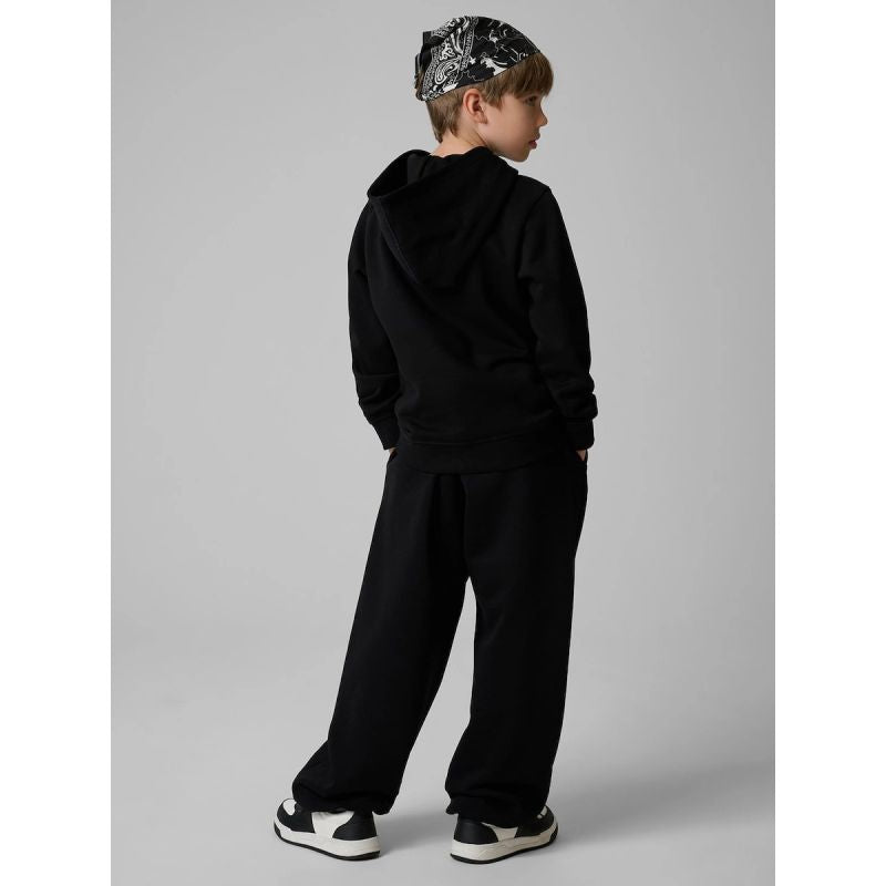 Boy's regular hooded sweatshirt 4F 4FJRSS26TSWSM2904-20S 4f