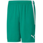 Puma teamLiga M 704924 05 shorts Clothing/Football Puma