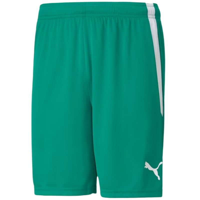 Puma teamLiga M 704924 05 shorts Clothing/Football Puma