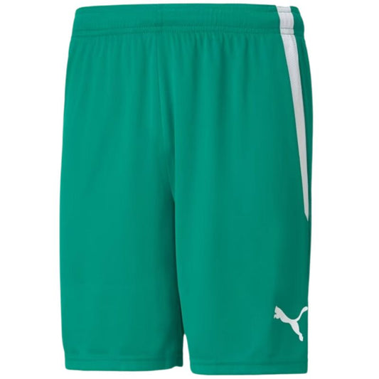 Puma teamLiga M 704924 05 shorts Clothing/Football Puma