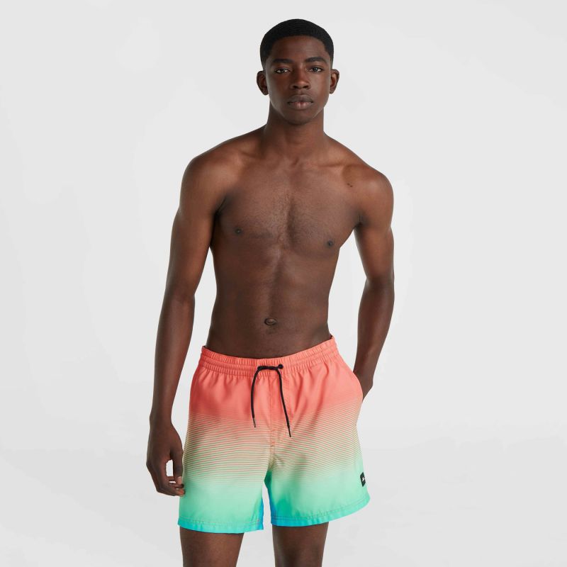 O'Neill Jack Cali Gradient 15'' Swim Shorts M 92800613575 Clothing/Swimming/ONeill Your Sports Performance